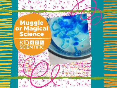 Kidcreate Studio - Woodbury. Muggle or Magical Science Workshop (5-12 Years)
